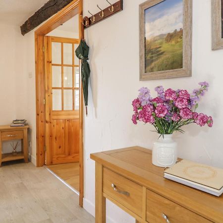 Cyffdy Cottage - Tegid Bala Ngoại thất bức ảnh